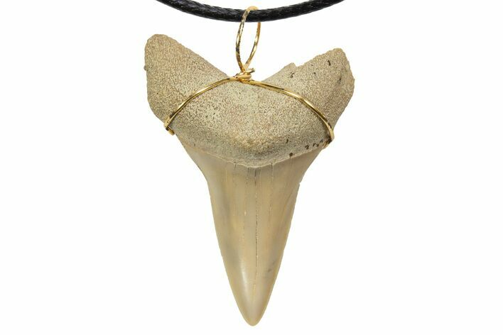 Fossil Mako Shark Tooth Necklace - Bakersfield, California #318844